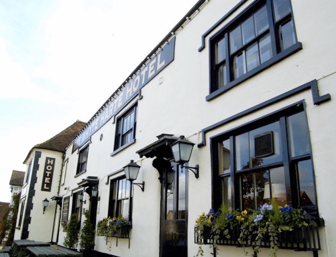 Whyte Harte Hotel Redhill  Esterno foto