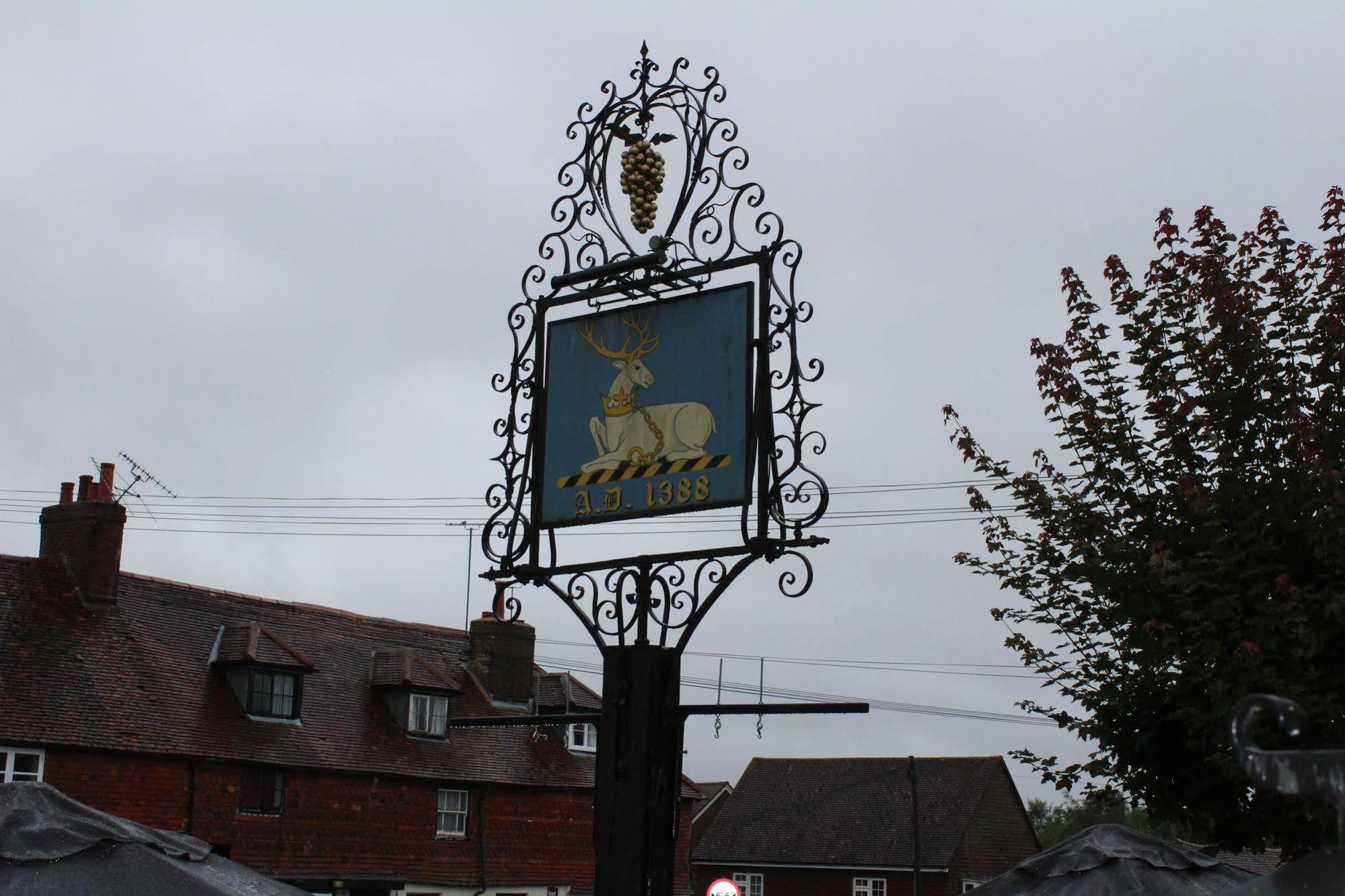 Whyte Harte Hotel Redhill  Esterno foto